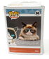 Flocked Grumpy Cat 60 EE Exclusive Funko Pop Vinyl Figure